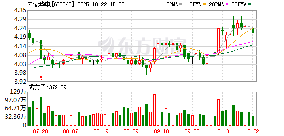 兴启网 内蒙华电：2024年年度股东大会决议公告